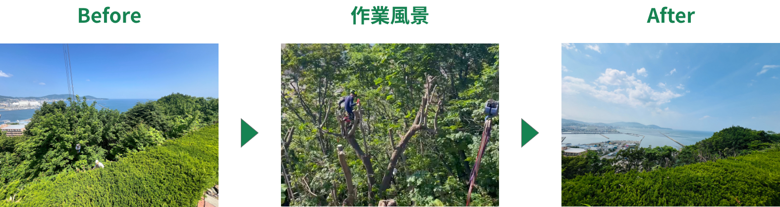Before→作業風景→After