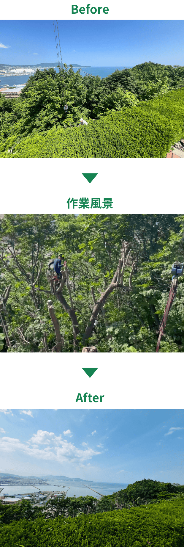 Before→作業風景→After