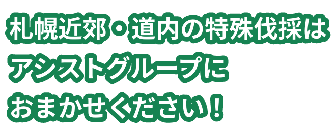 札幌近郊・道外の特殊伐採はアシストグループにおまかせください！
