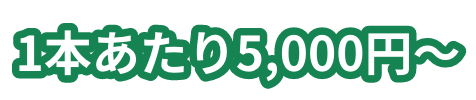 1本あたり5,000円〜